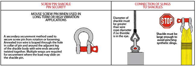 Rigging Shackle Inspection Health And Safety Poster W - vrogue.co
